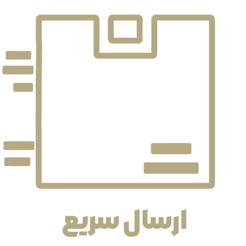 ارسال سریع