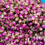 غنچه گل محمدی لاله‌زار لوکس ادویه پلاس